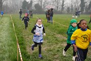 DSC00184 DSC00184